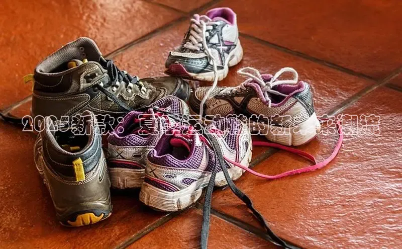 必一运动bsport体育