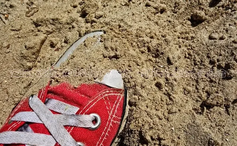 安踏女运动鞋2025春夏季新款：时尚与性能的完美结合