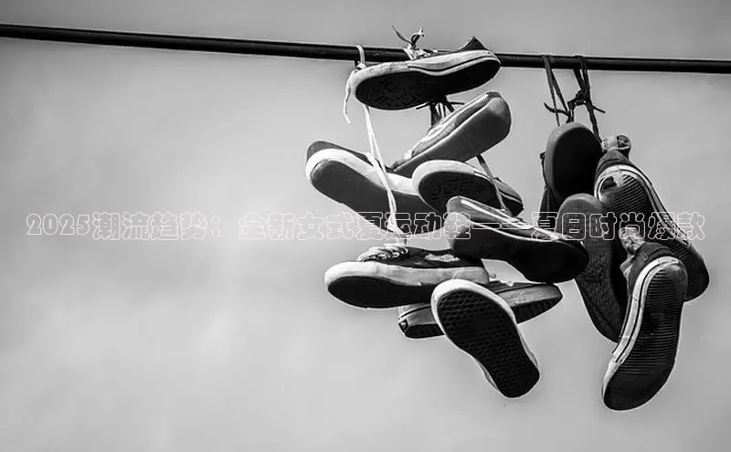 B·sports